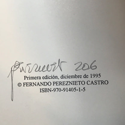 Guanajuato - Fernando Pereznieto Castro - First Edition - 1995