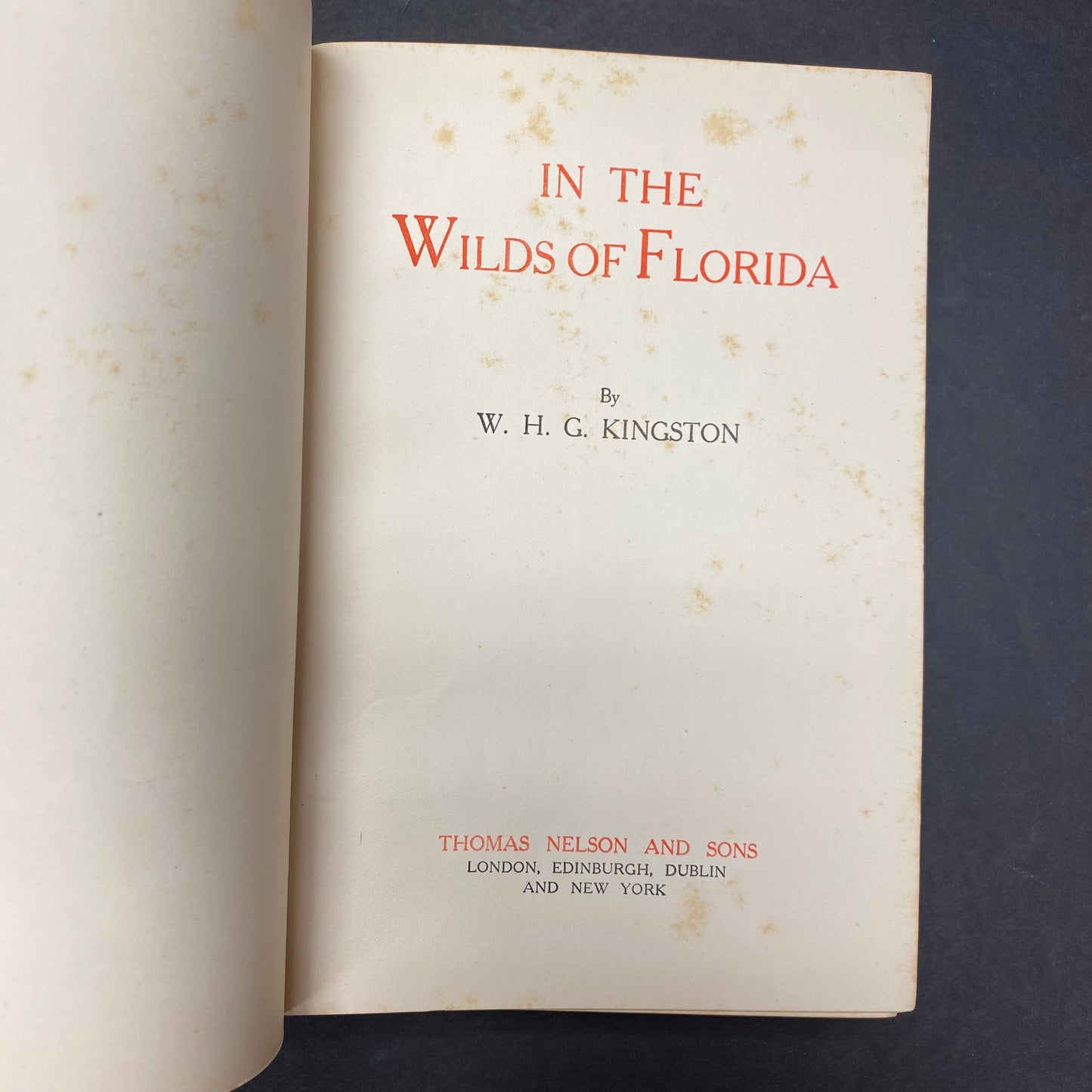 In The Wilds of Florida - W. H. G. Kingston - c. 1900