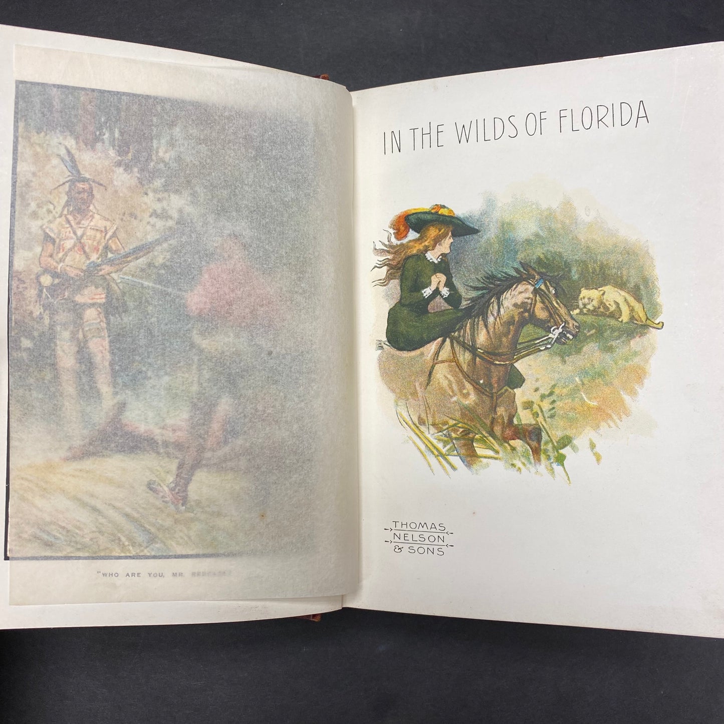 In The Wilds of Florida - W. H. G. Kingston - c. 1900