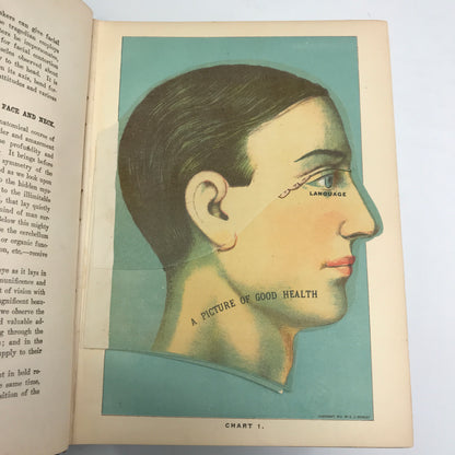 Library of Health - Complete Guide to Prevention and Cure of Disease - With Color Fold Outs and Plates - 1925