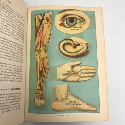 Library of Health - Complete Guide to Prevention and Cure of Disease - With Color Fold Outs and Plates - 1925