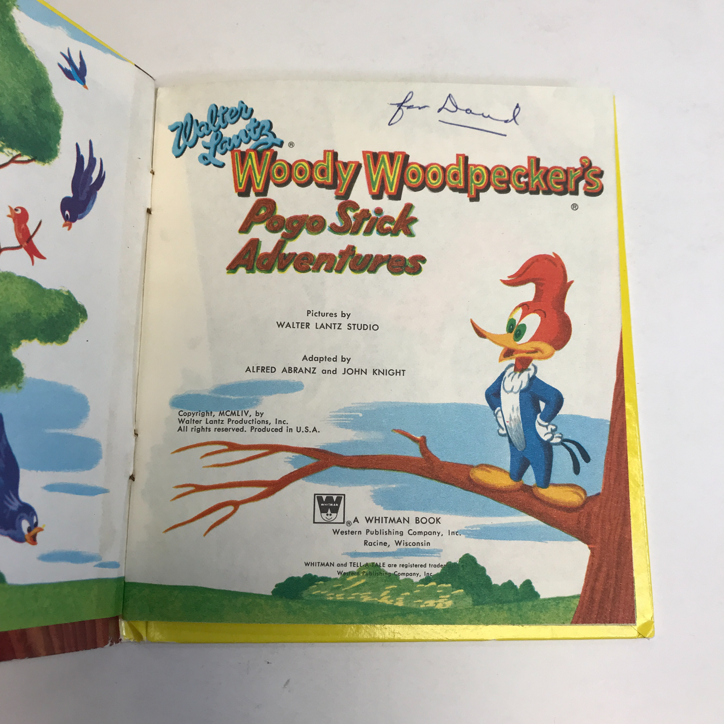 Woody Woodpecker's Pogo Stick Adventures - 1954