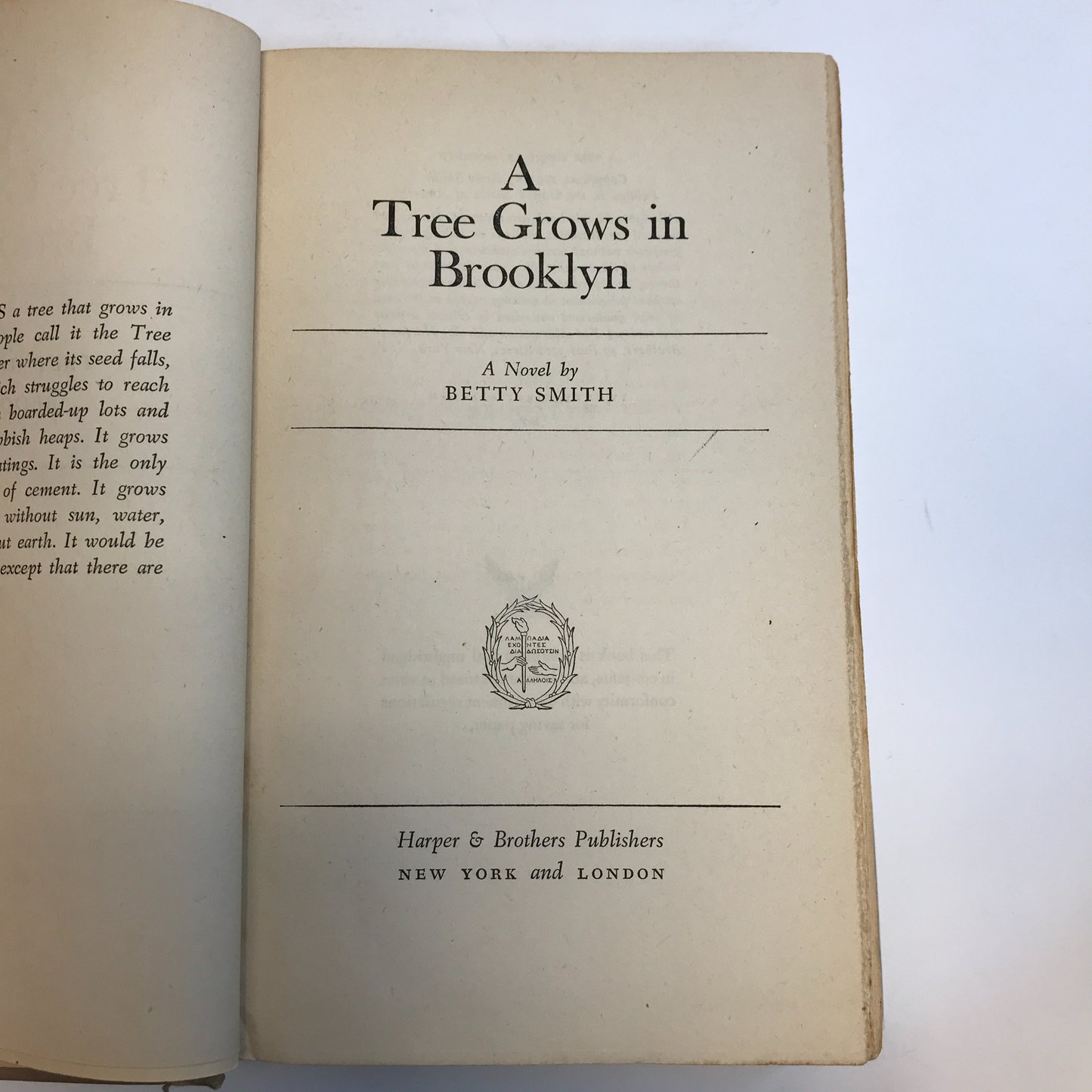 A Tree Grows in Brooklyn - Betty Smith - 1943