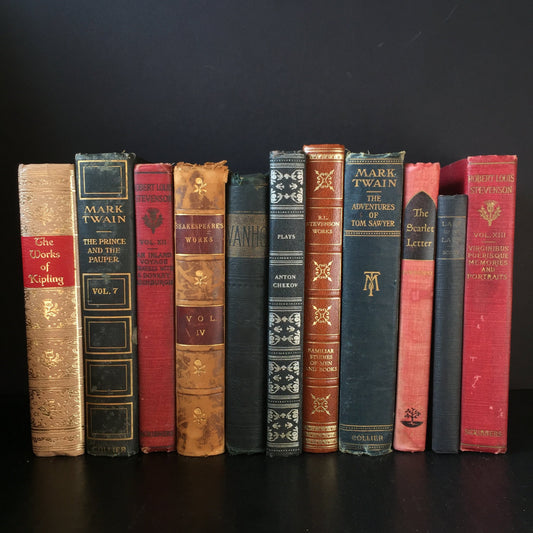 Books by the Foot | Classic Novels | Decorative Designer Bundle | Collection of Real Readable Hardcover Books | Display Prop & Staging Set