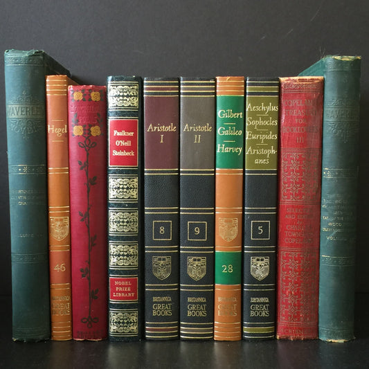 Books by the Foot | Classic Novels | Decorative Designer Bundle | Collection of Real Readable Hardcover Books | Display Prop & Staging Set