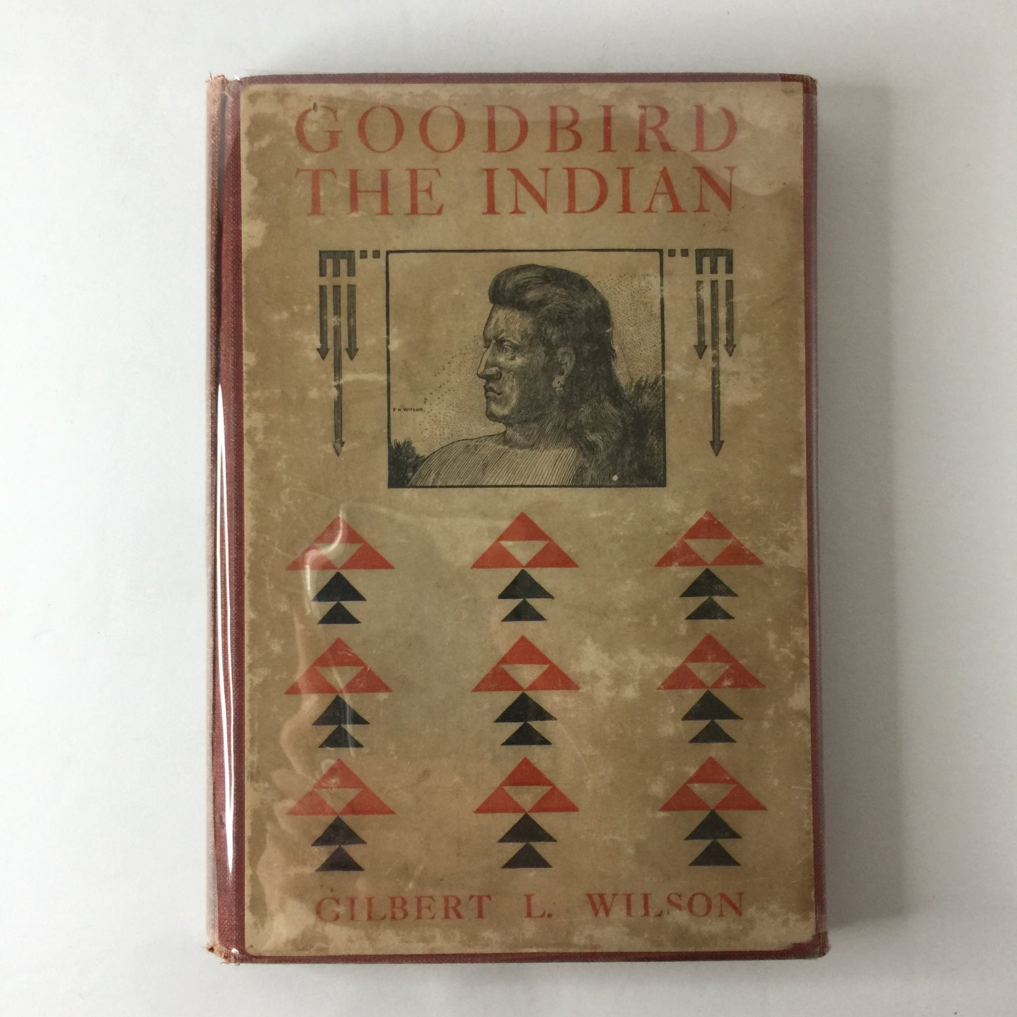 Goodbird The Indian - Gilbert L. Wilson - 1917