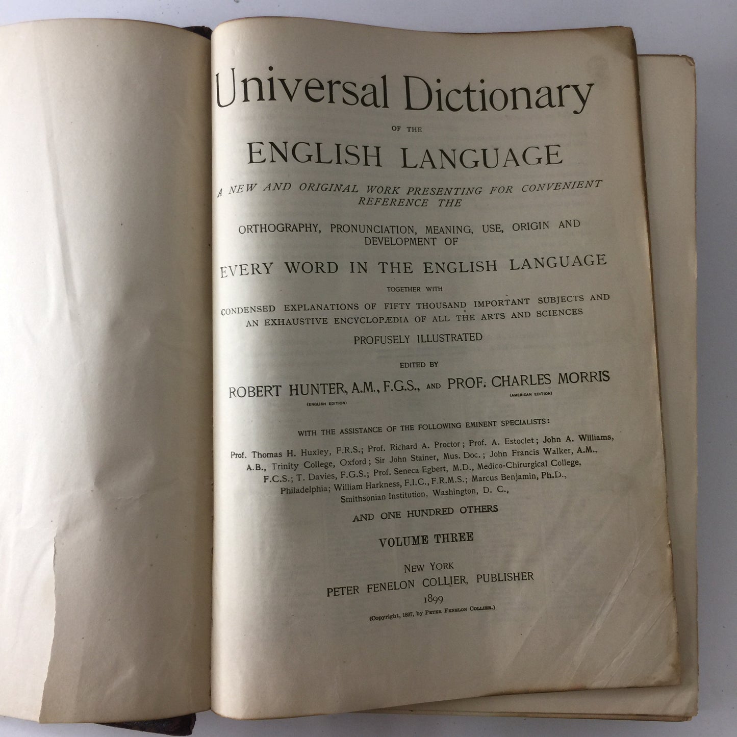 Universal Dictionary of the English Language - Various - 1899