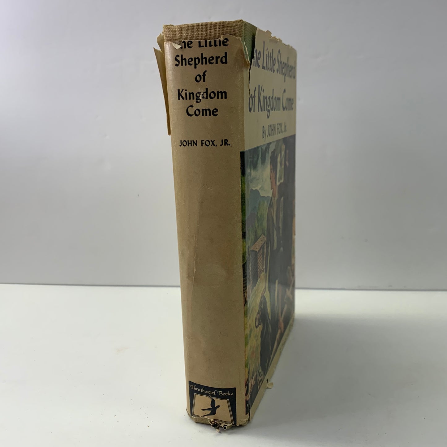 The Little Shepherd of Kingdom Come - John Fox Jr.  - 1931