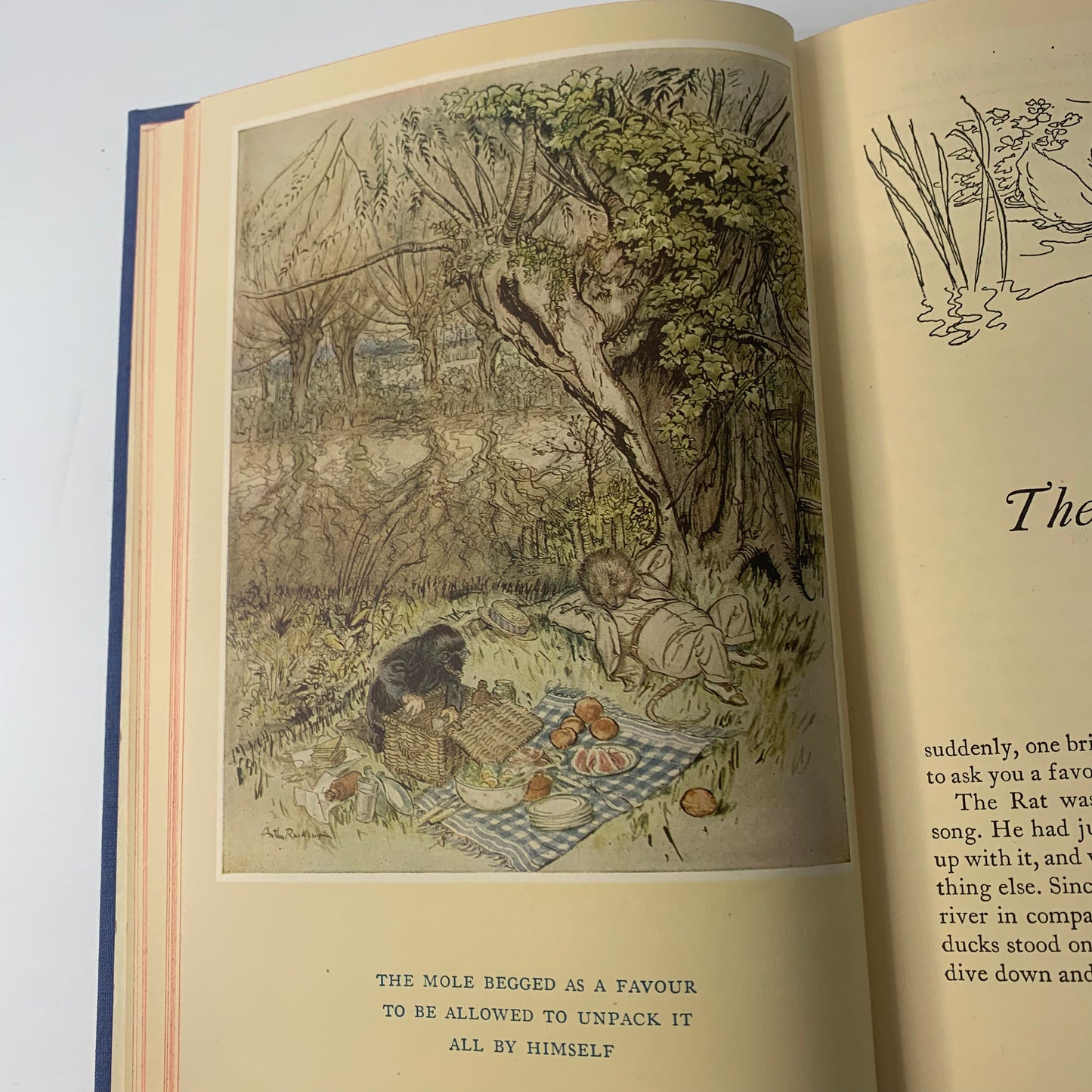 The Wind in the Willows - Kenneth Grahame - Illustrated by Arthur Rackham - 1940