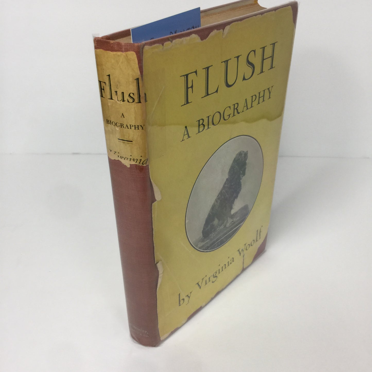 Flush: A Biography - Virginia Woolf - 1st Edition - 1933