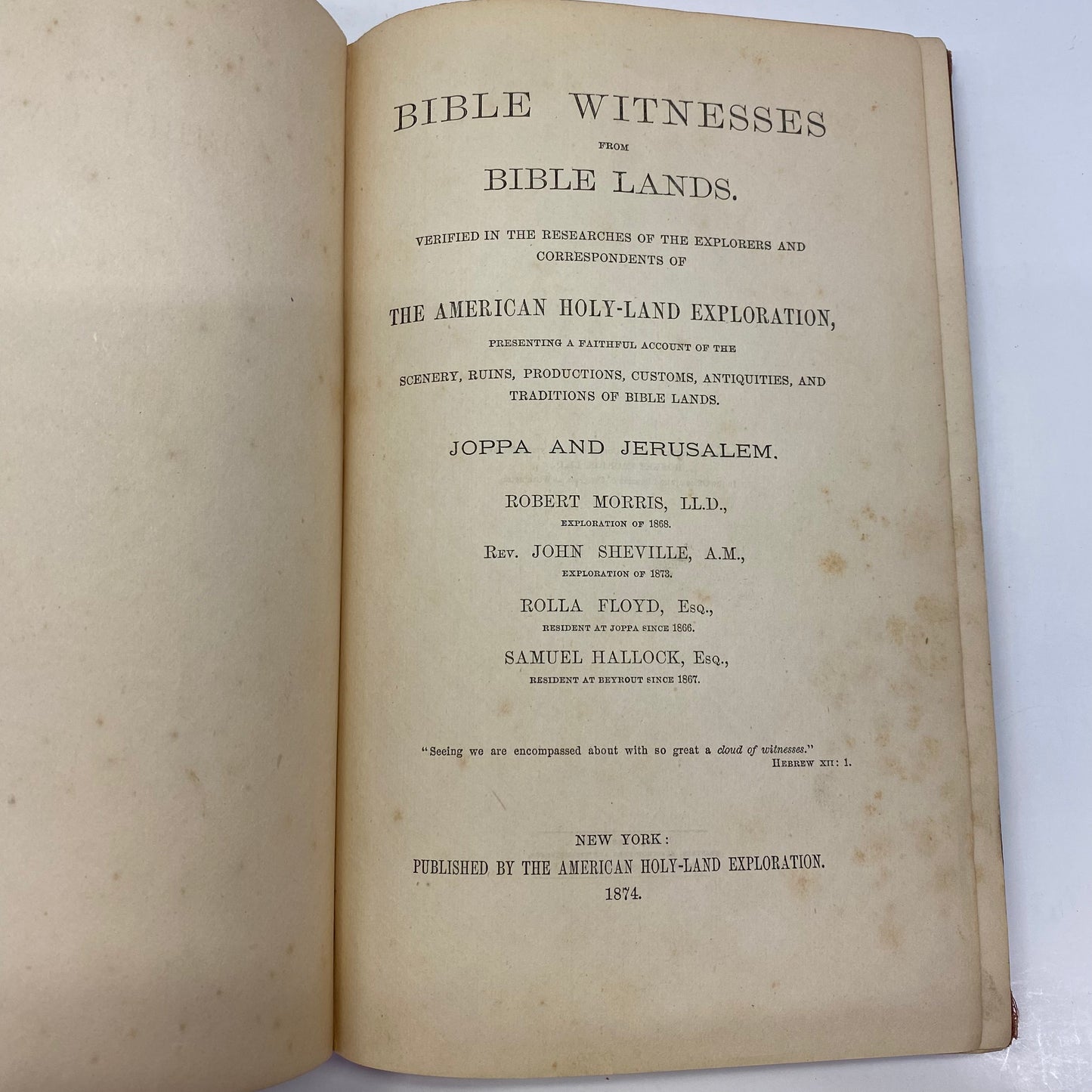 Bible Witnesses from Bible Lands - American Holy Land Exploration - 1874