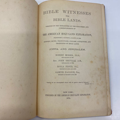 Bible Witnesses from Bible Lands - American Holy Land Exploration - 1874