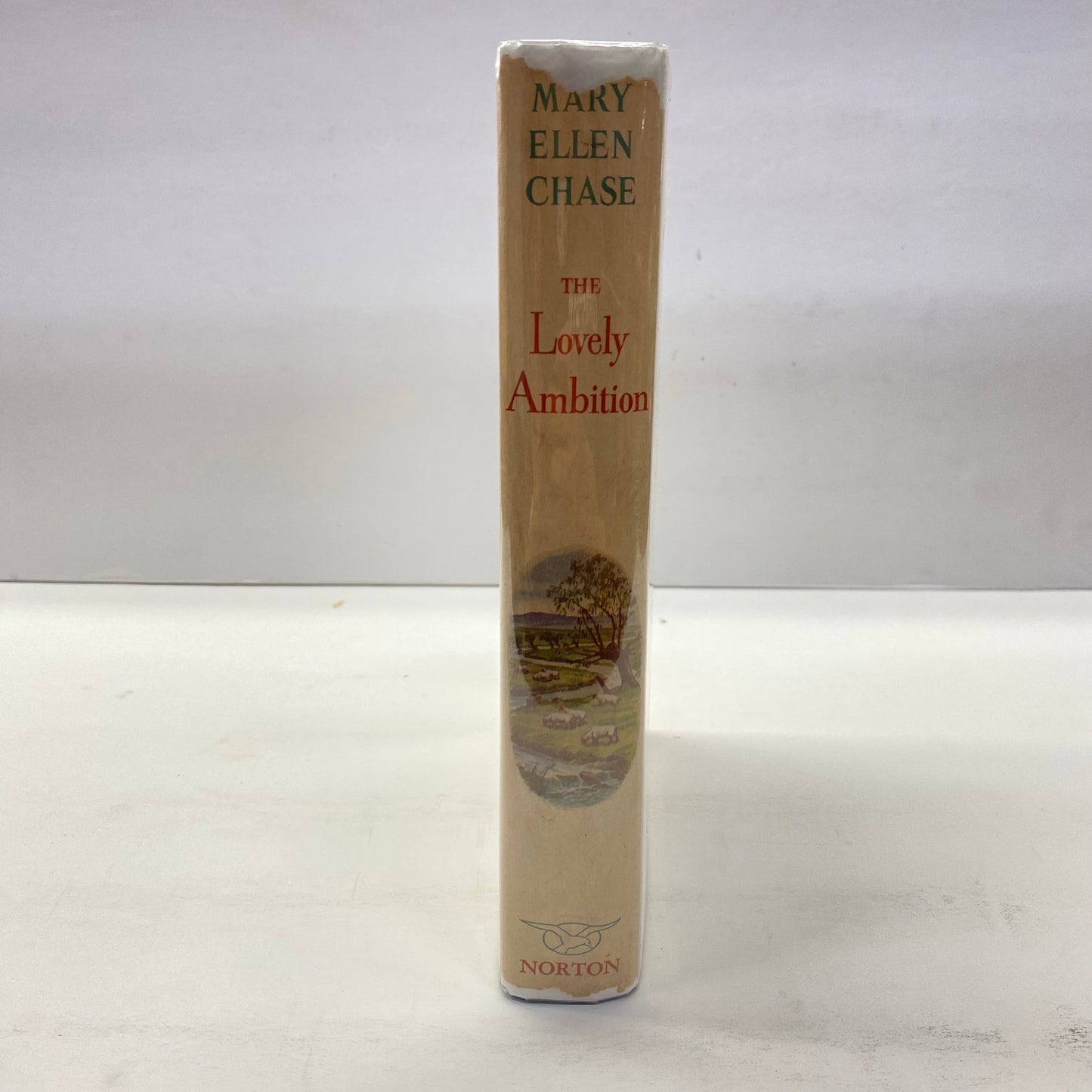 The Lovely Ambition - Mary Ellen Chase - 1st Edition - 1960