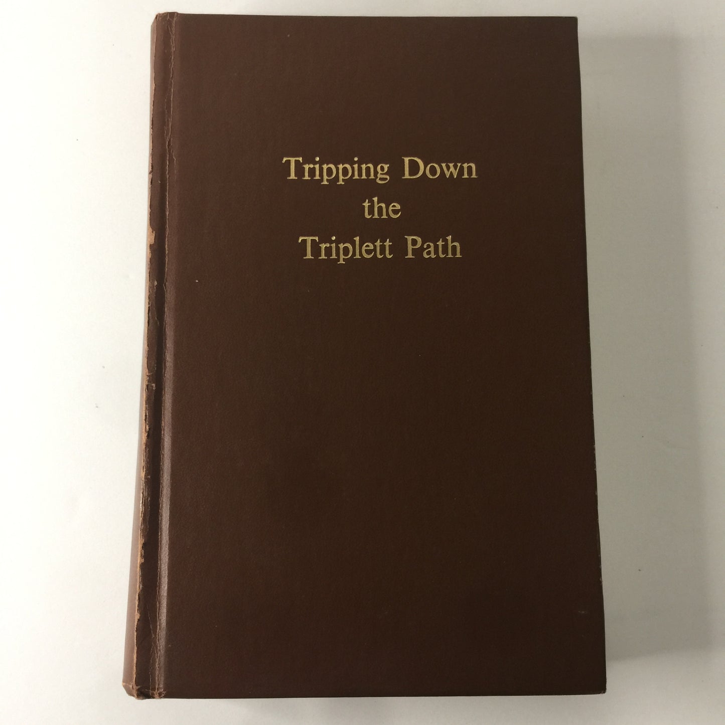 Tripping Down The Triplett Path - Hortense E. Abbot - 1982