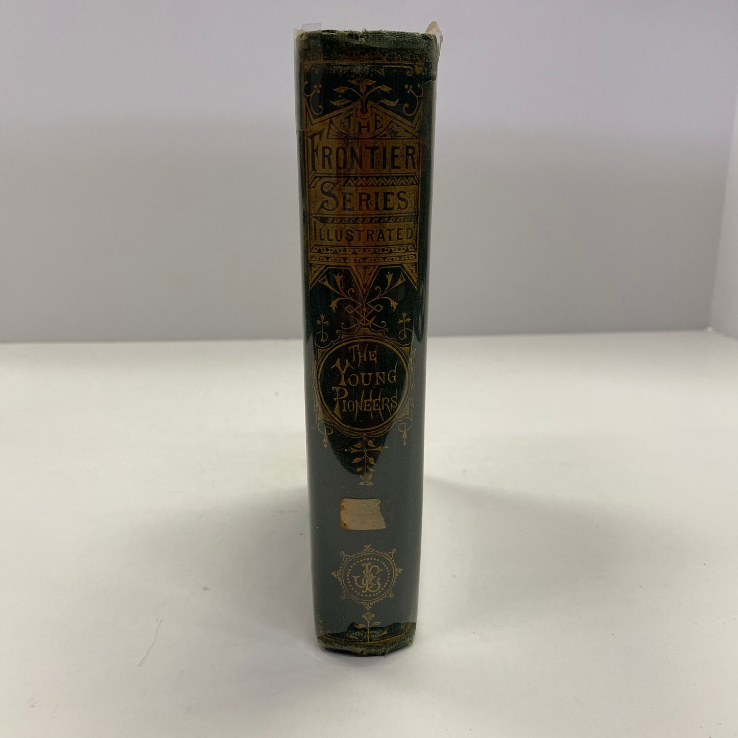 The Young Pioneers of the North-West - Dr. C.H. Pearson - 1871