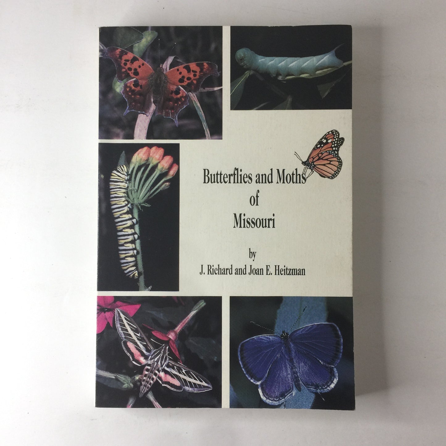 Butterflies and Moths of Missouri - J. Richard and Joan Heitzman - 1987