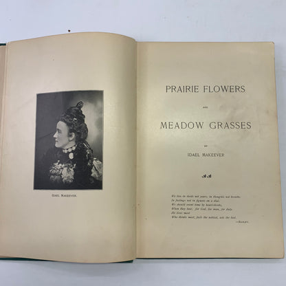 Prairie Flowers and Meadow Grasses - Idael Makeever - 1899