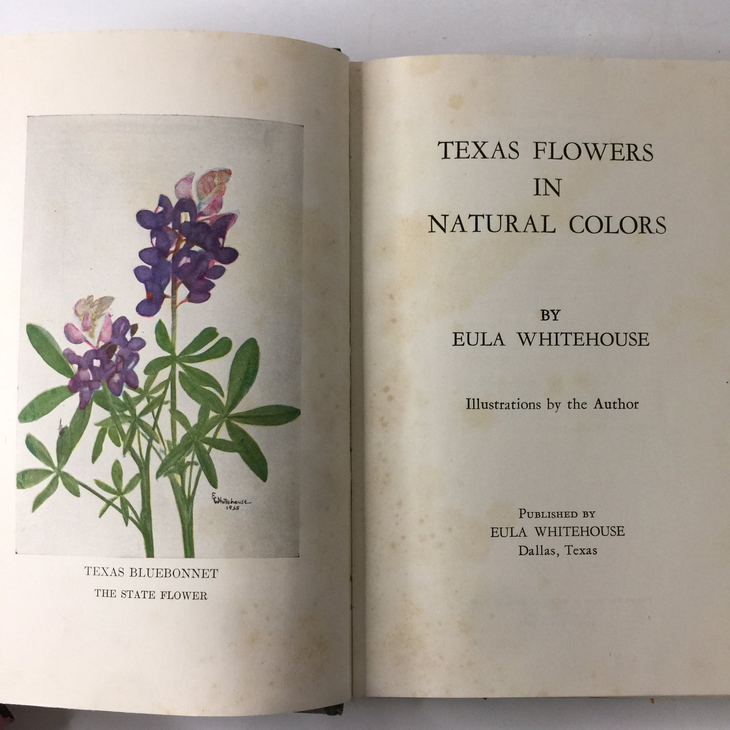 Texas Flowers in Natural Colors - Eula Whitehouse - 2nd Edition - 1948