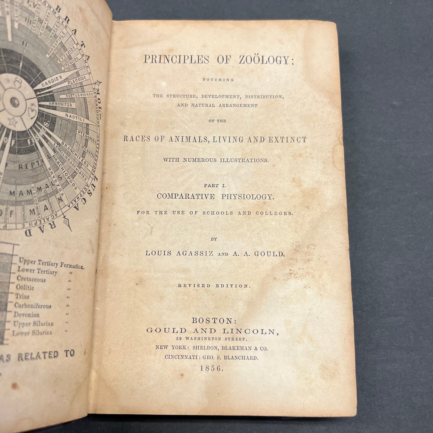 Principles of Zoölogy - Louis Agassiz and A. A. Gould - 1856