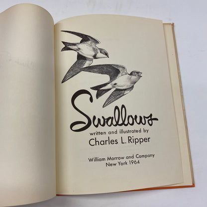 Swallows - Charles L. Ripper - Signed - 1964