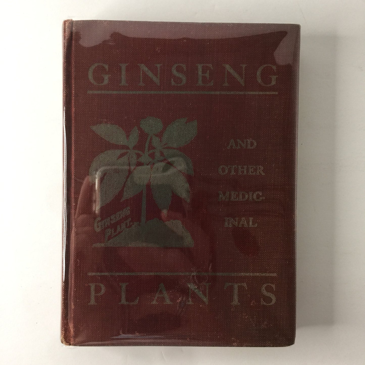 Ginseng and Other Medicinal Plants - A. R. Harding - 2nd Edition - 1908