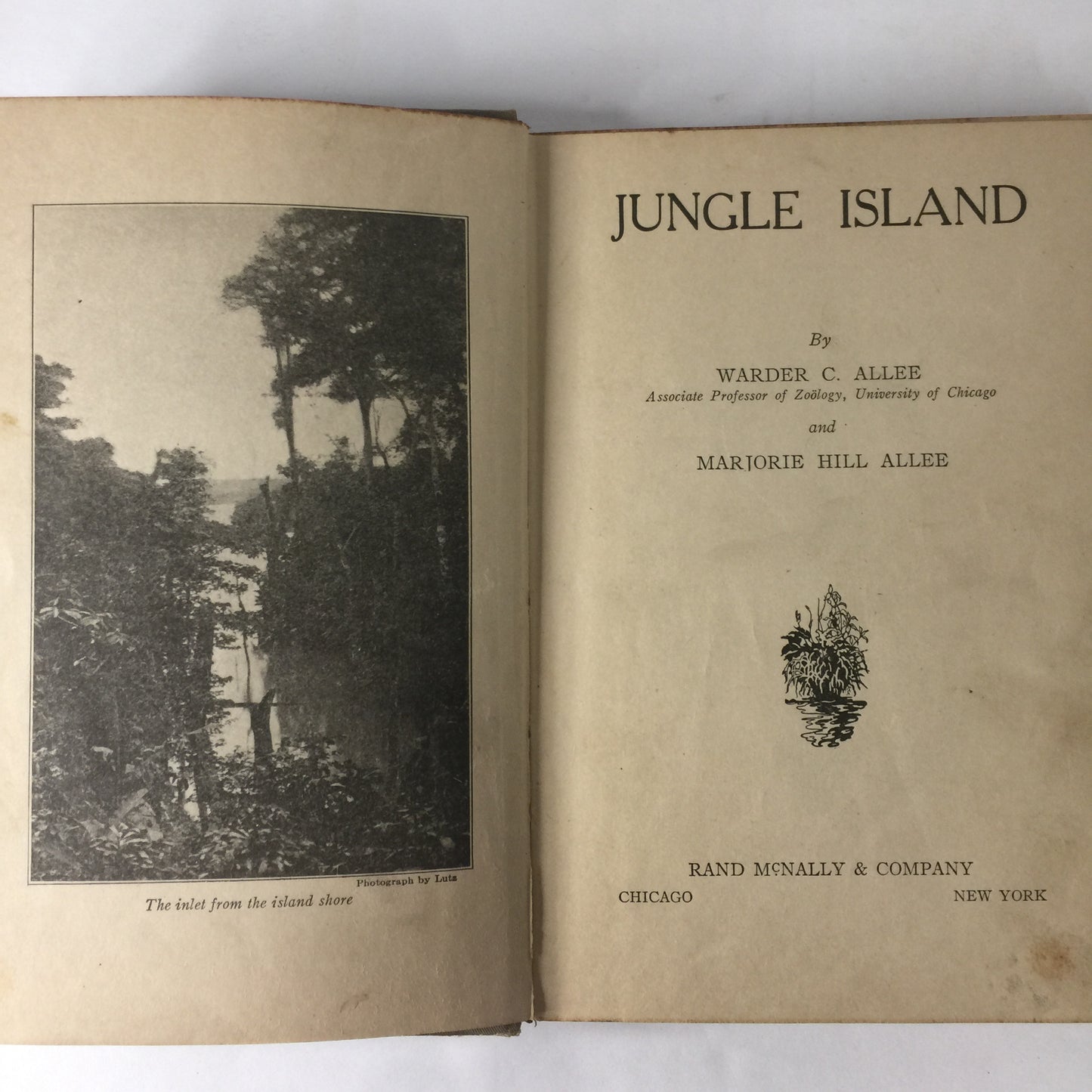 Jungle Island - W. C. And M. H. Allee - 1925