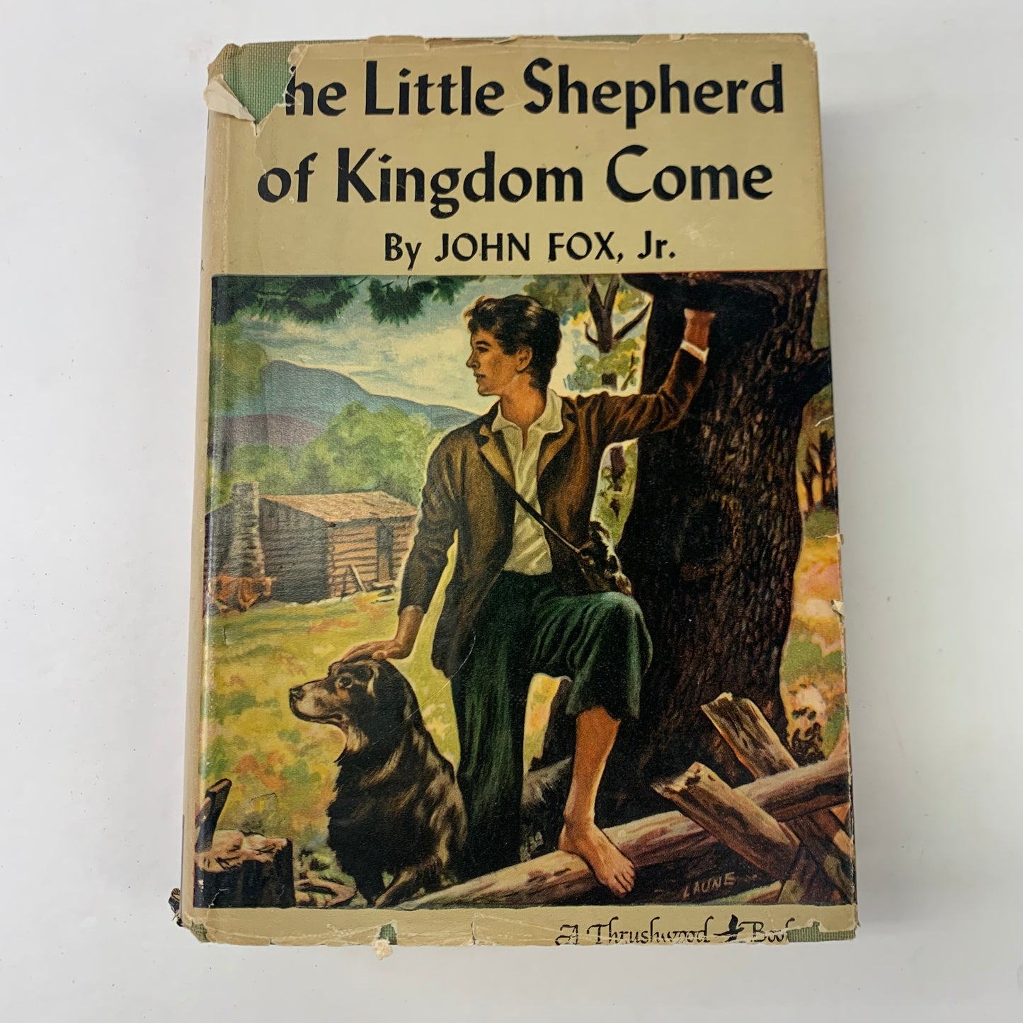 The Little Shepherd of Kingdom Come - John Fox Jr.  - 1931