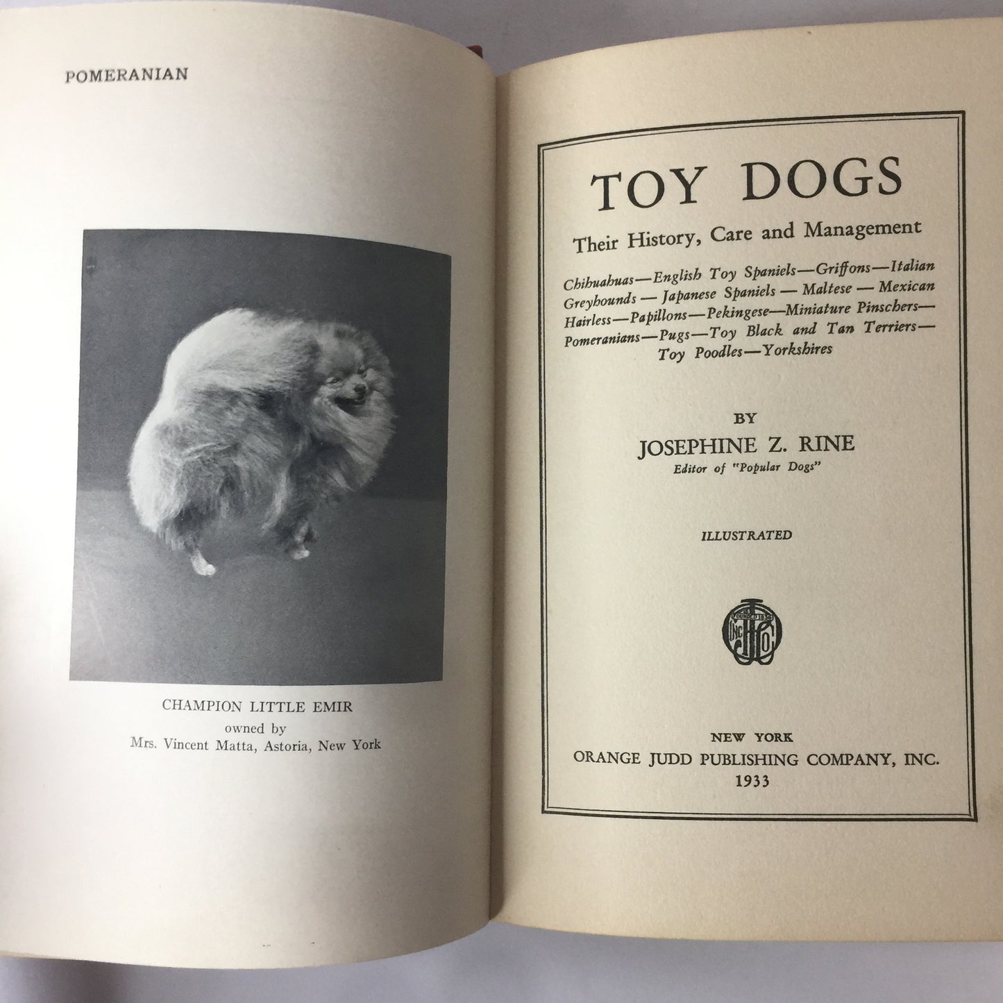 Toy Dogs - J. Z. Rine - 1st Edition - 1933