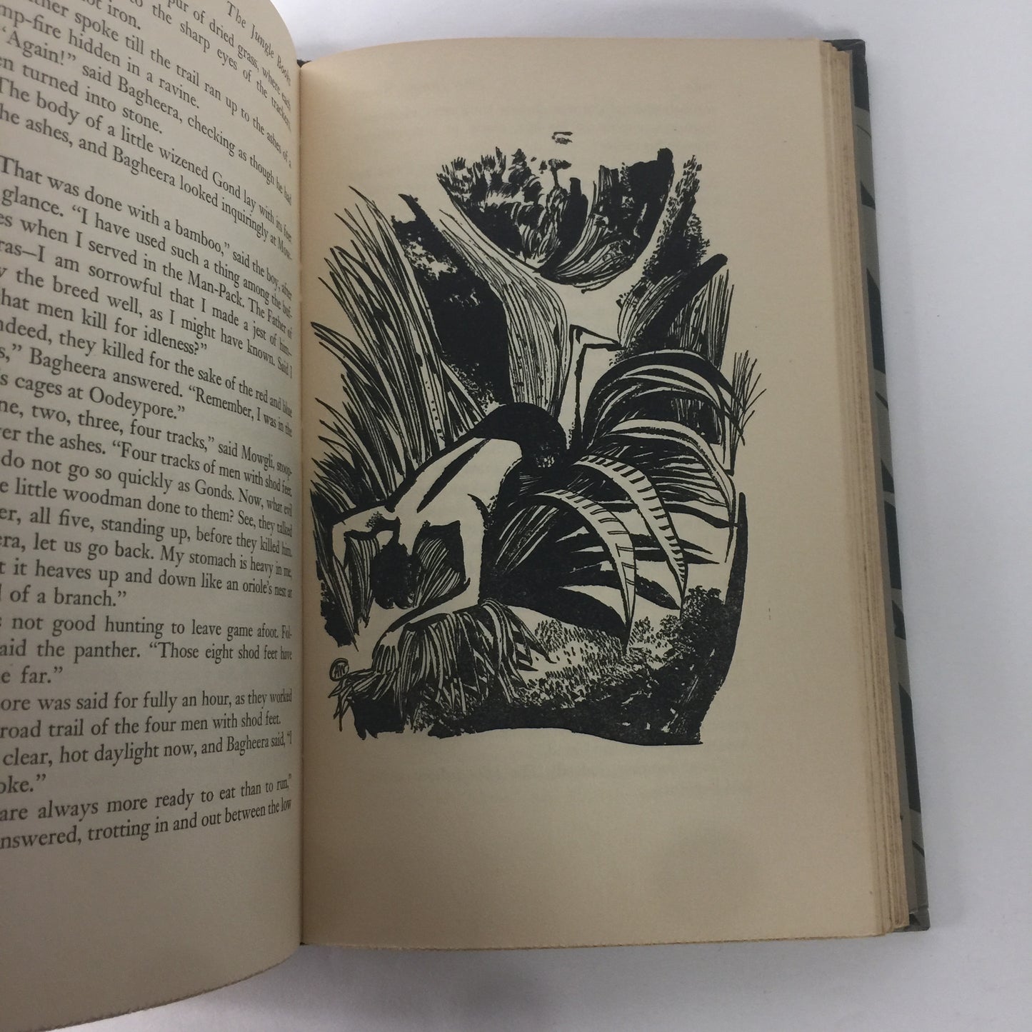 The Jungle Books - Rudyard Kipling - 2 Vol. - 1948