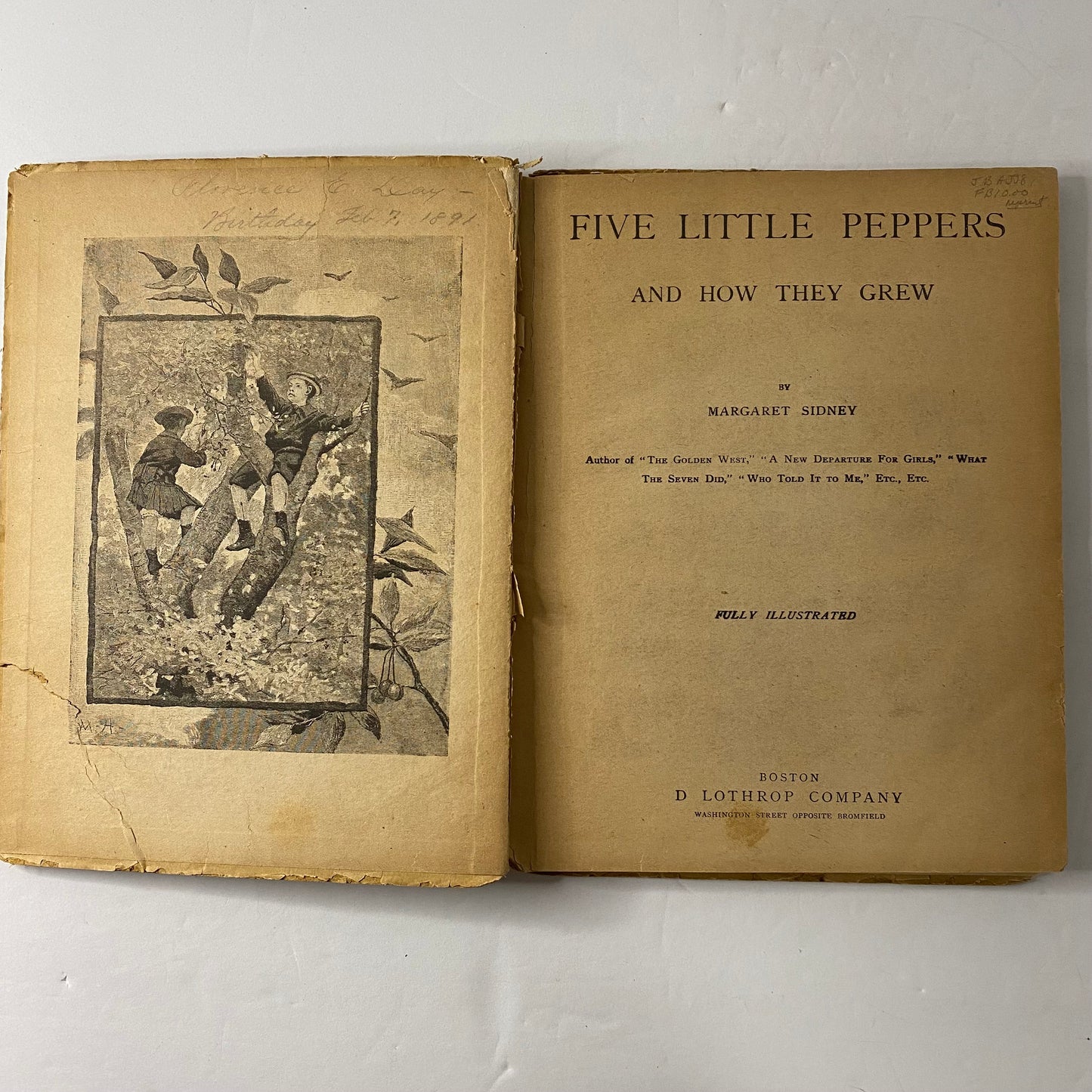 Five Little Peppers and How They Grew - Margaret Sidney - 1880