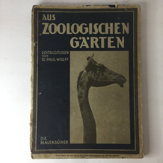 Aus Zoologischen Garten - Paul Wolff - 1929