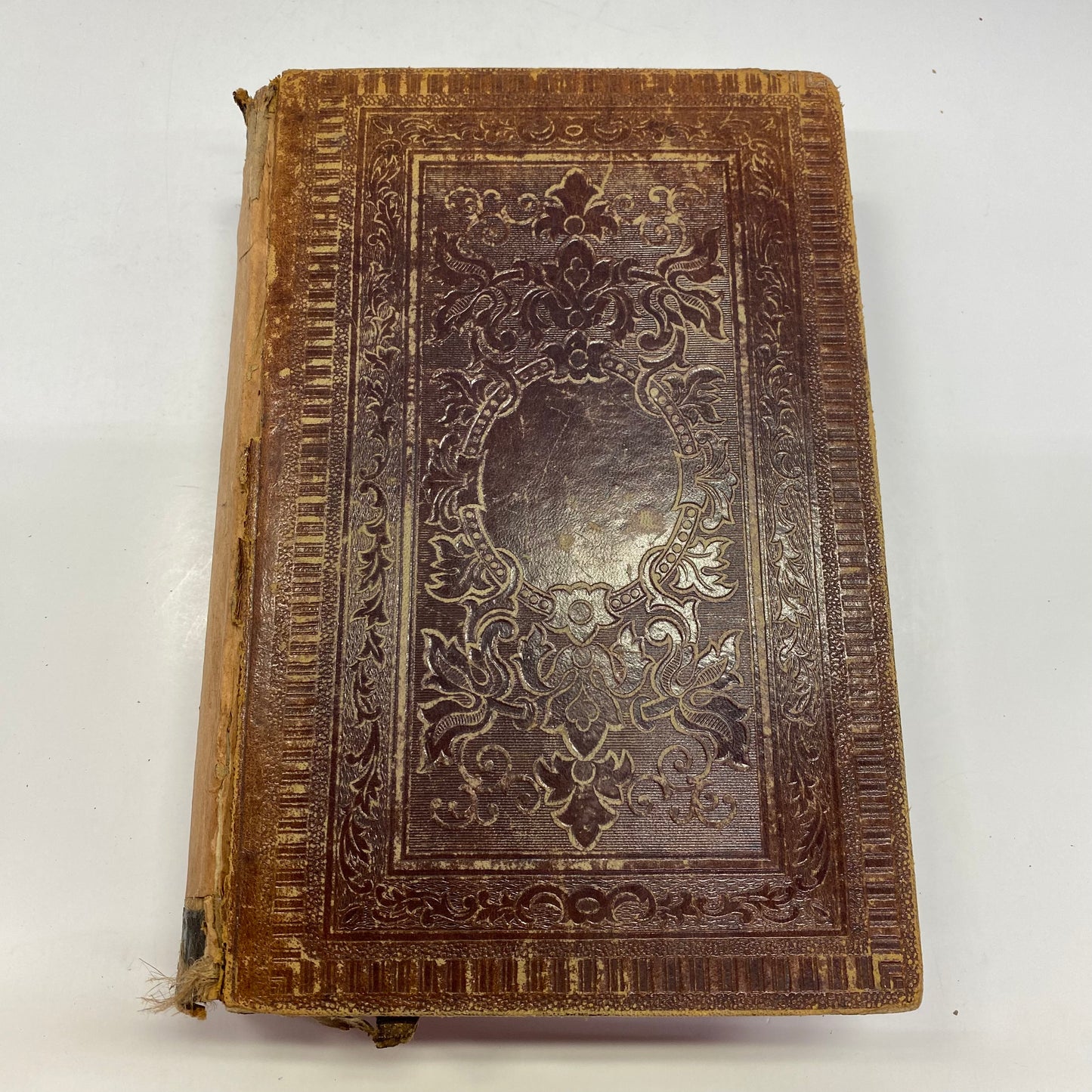 The Dealings of God, Man, and the Devil - Peggy Dohl - 1856