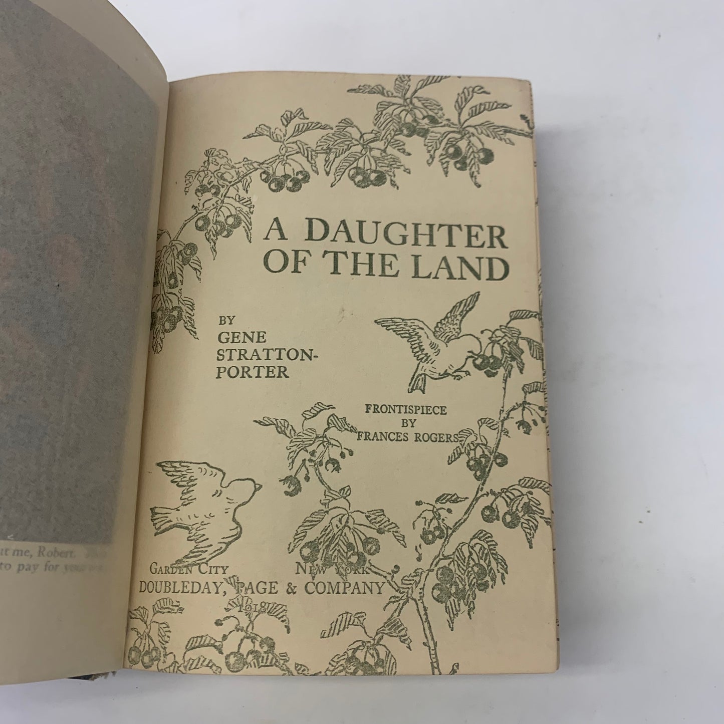 A Daughter of the Land - Gene Stratton Porter - 1st Edition - 1918