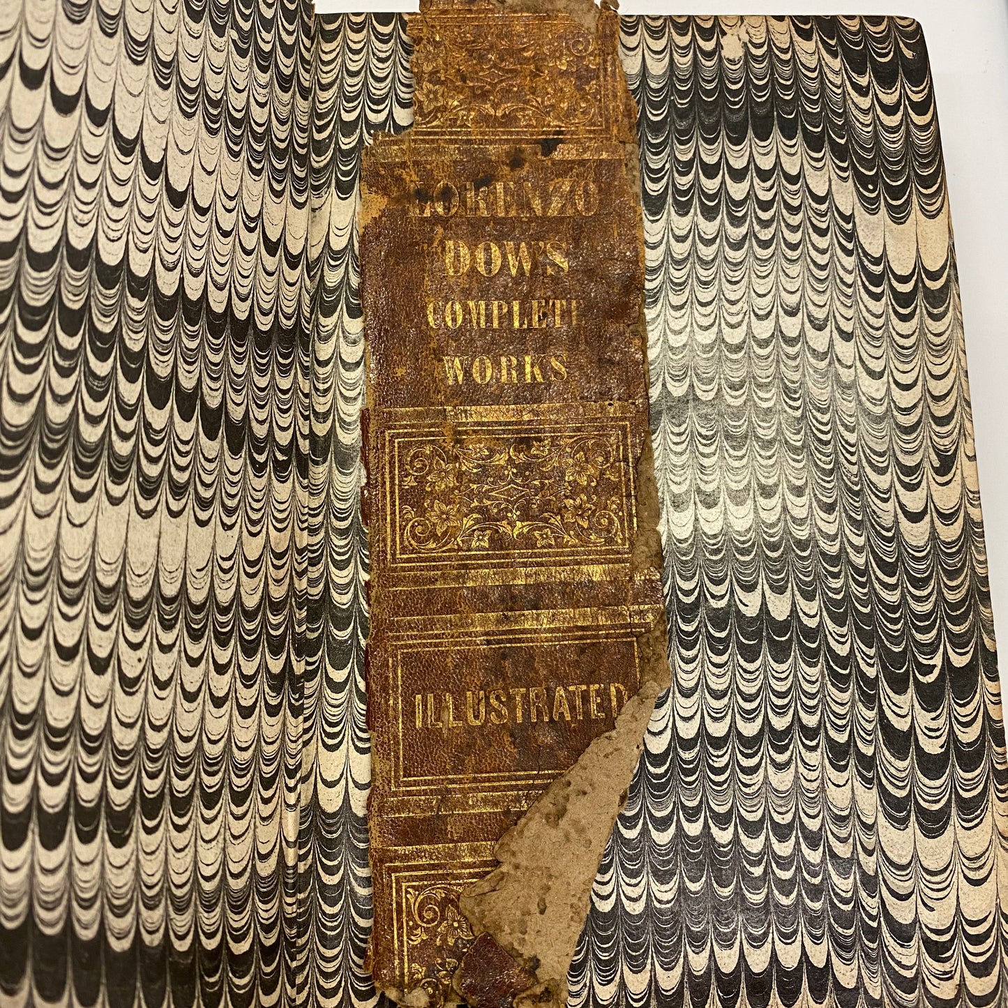 The Dealings of God, Man, and the Devil - Peggy Dohl - 1856