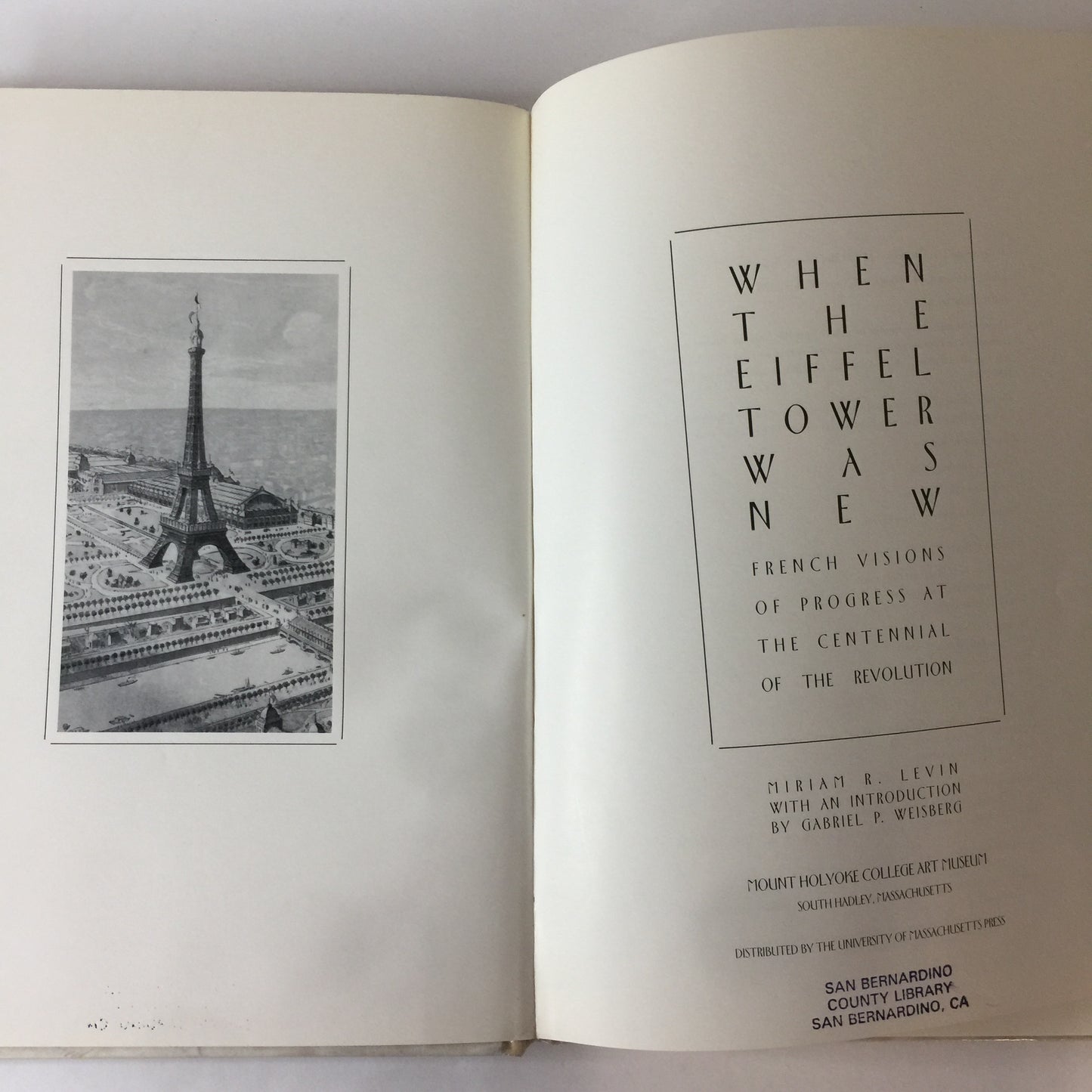 When the Eiffel Tower Was New - Miriam R. Levin