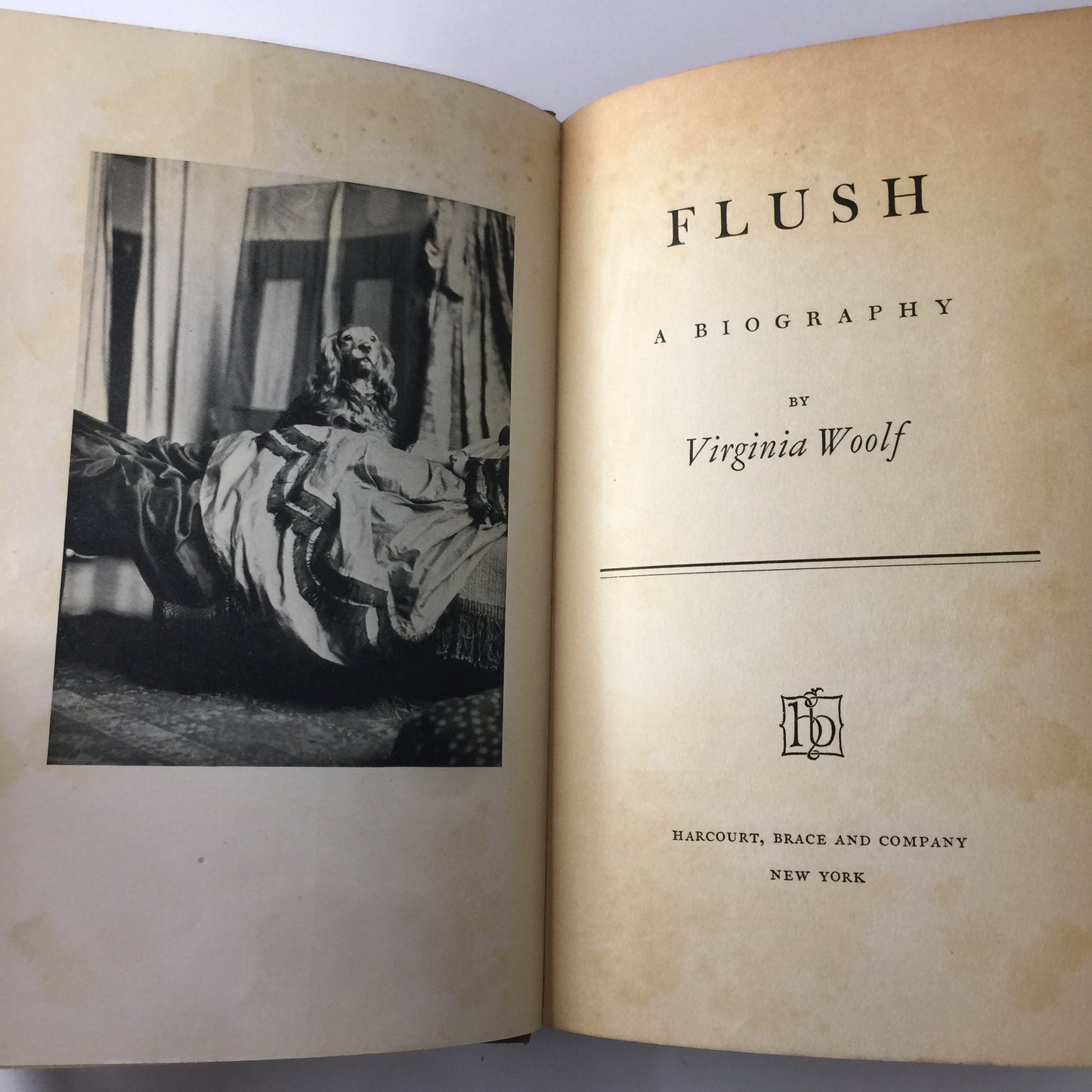 Flush: A Biography - Virginia Woolf - 1st Edition - 1933