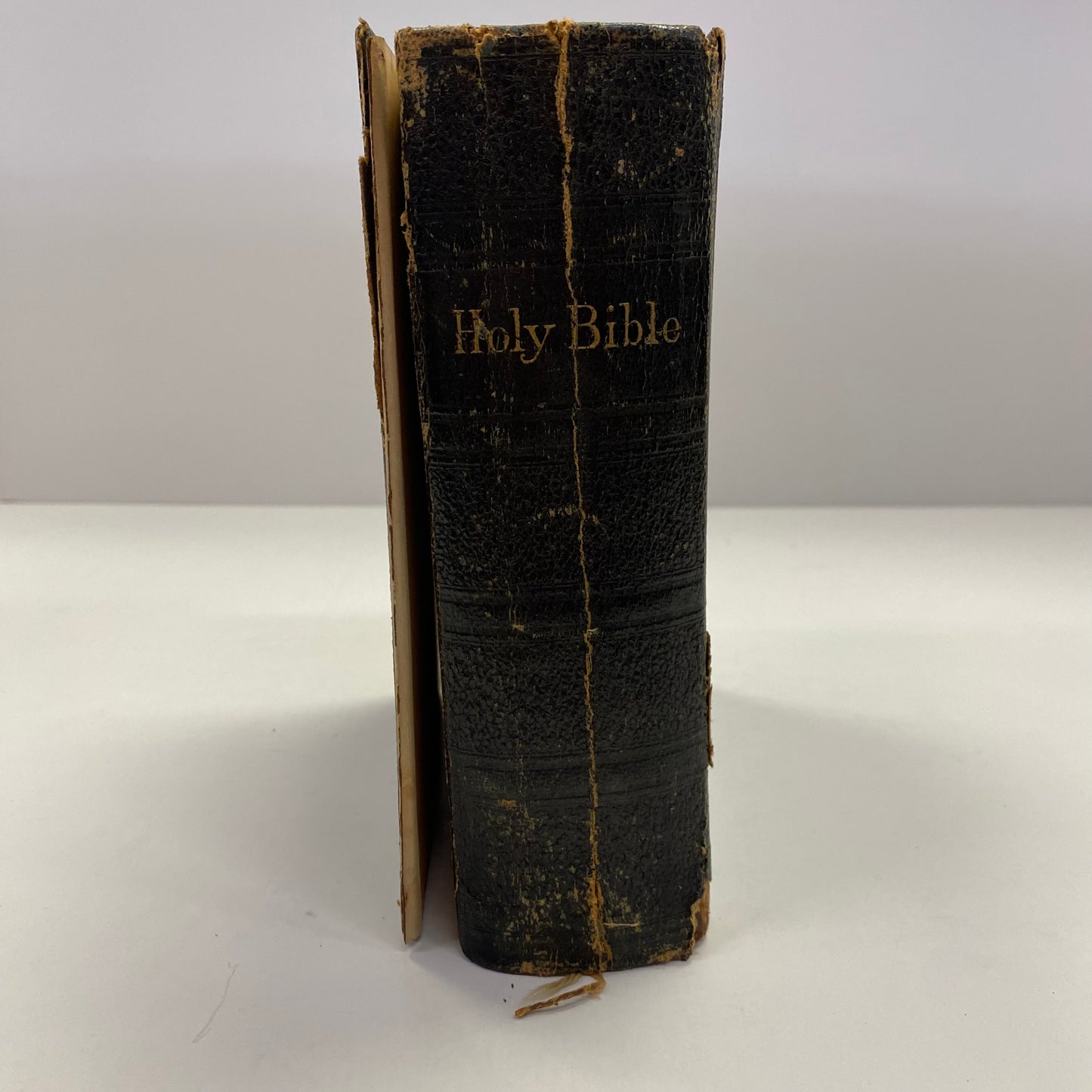 The Holy Bible - American Bible Society - 1893