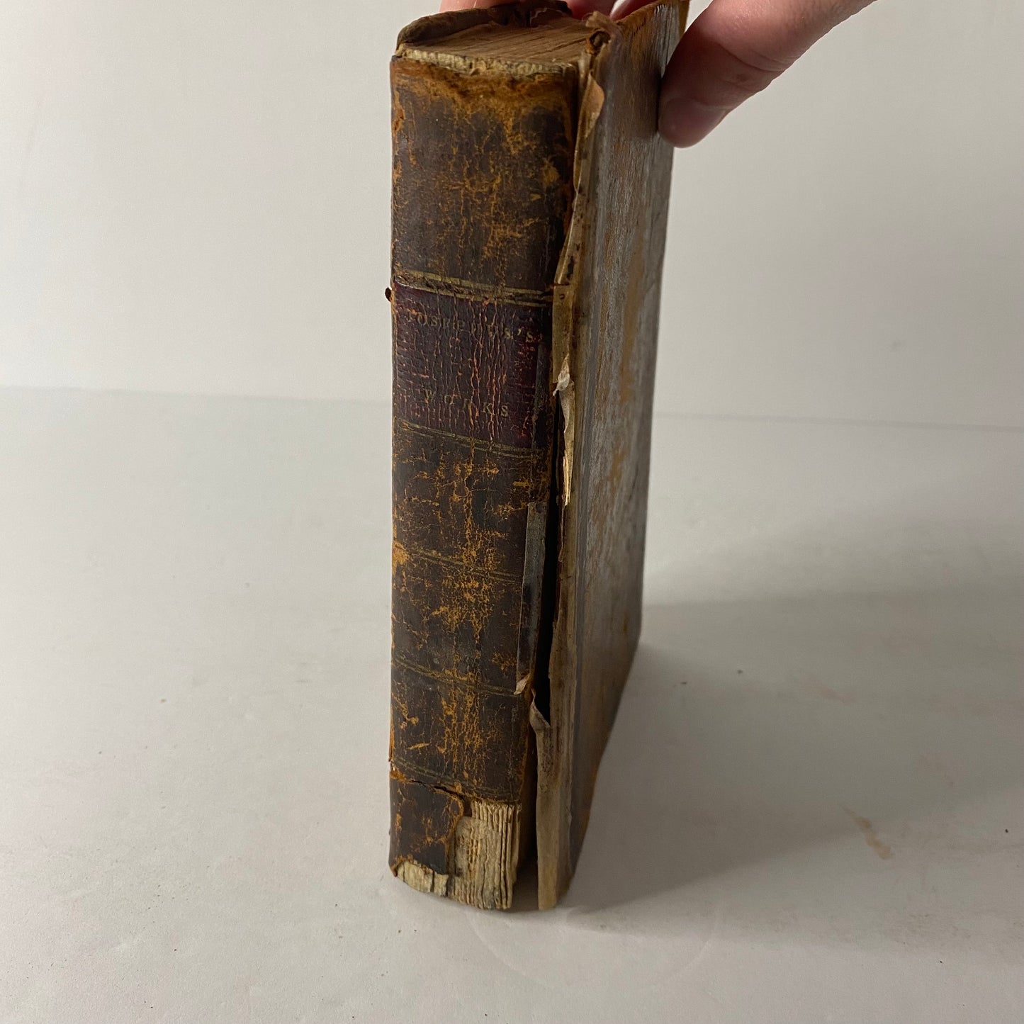 The Genuine Works of Flavius Josephus - Josephus and William Whiston - 1810