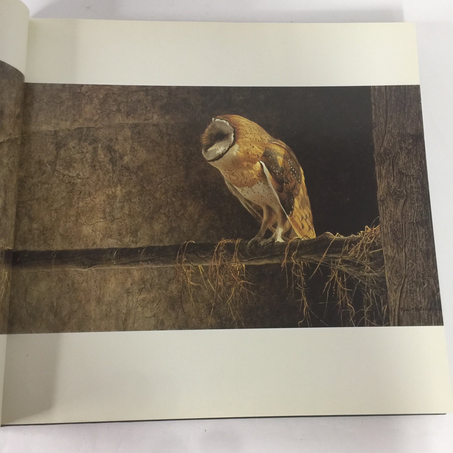 Robert Bateman Natural Worlds - Rick Archbold - Signed - 1996