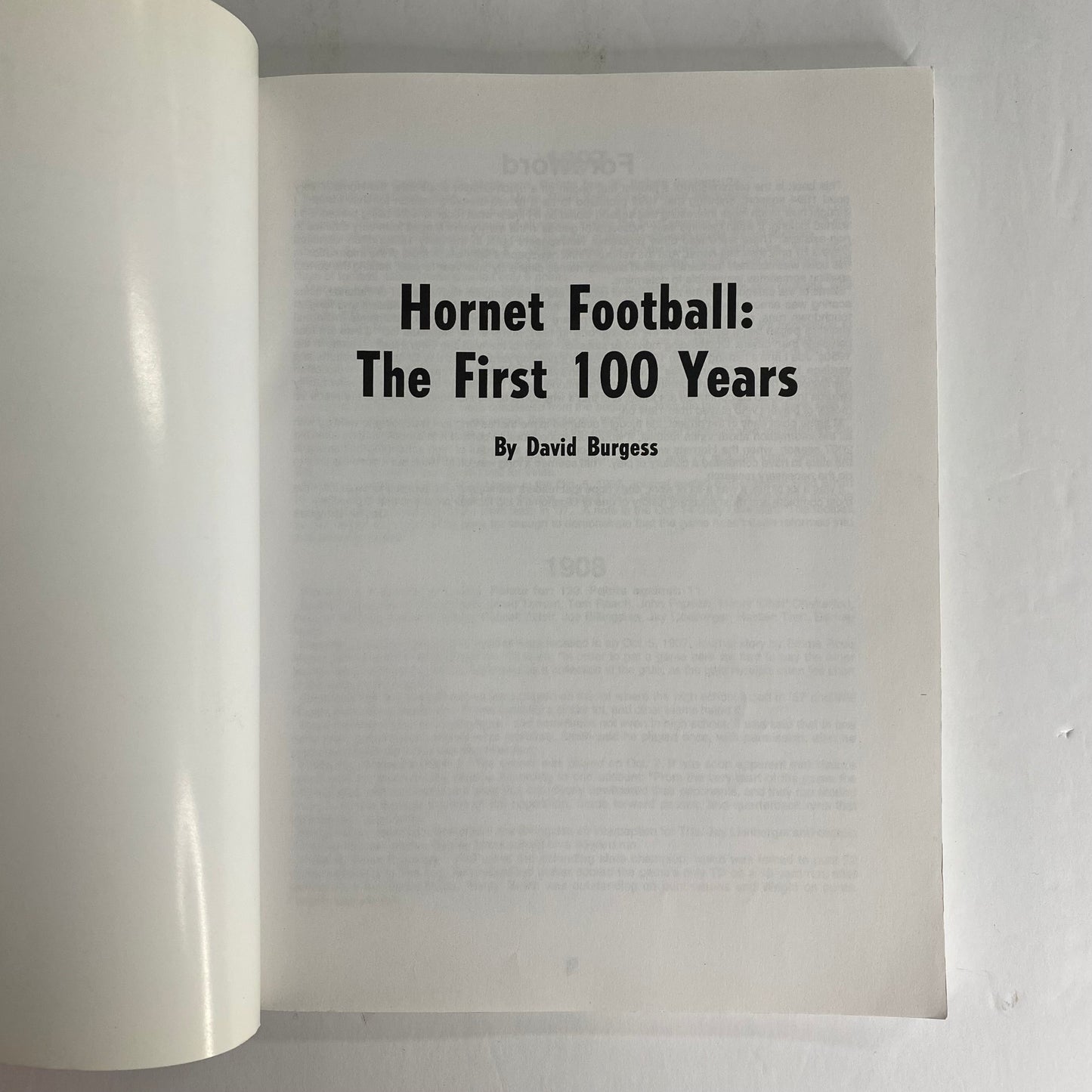 Hornet Football: The First 100 Years - David Burgess