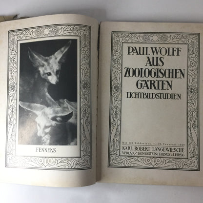 Aus Zoologischen Garten - Paul Wolff - 1929