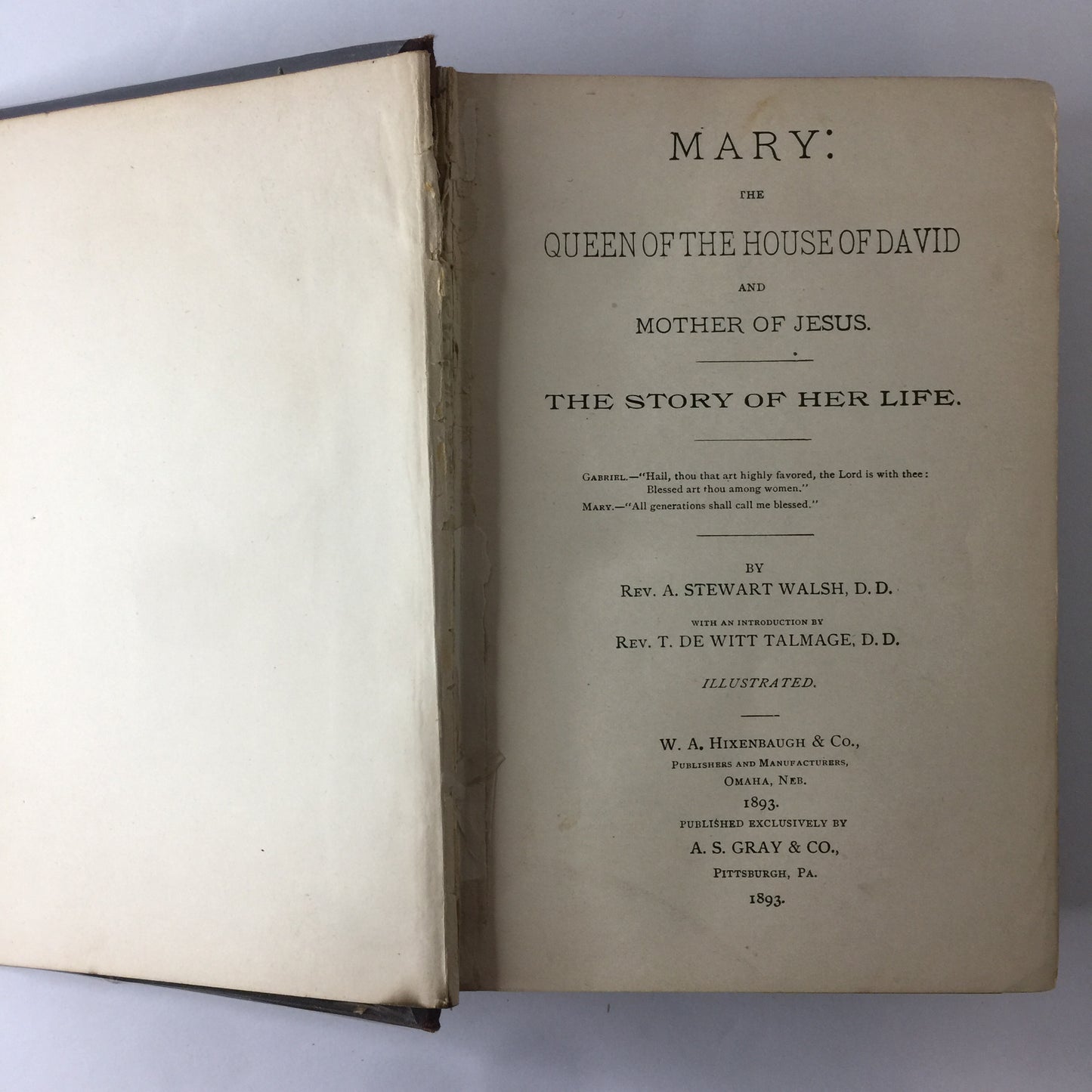 Mary: The Queen Of The House Of David - Rev. A. Stewart Walsh - 1893