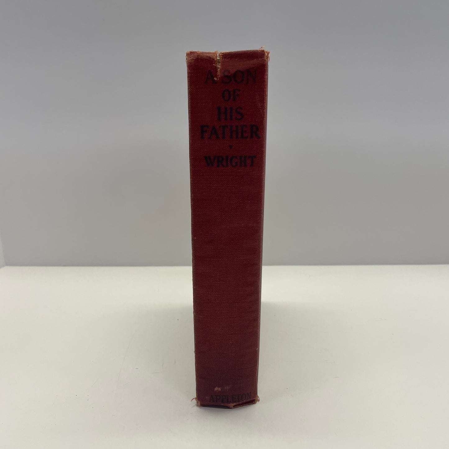 A Son of His Father - Harold Bell Wright - First Edition - 1925