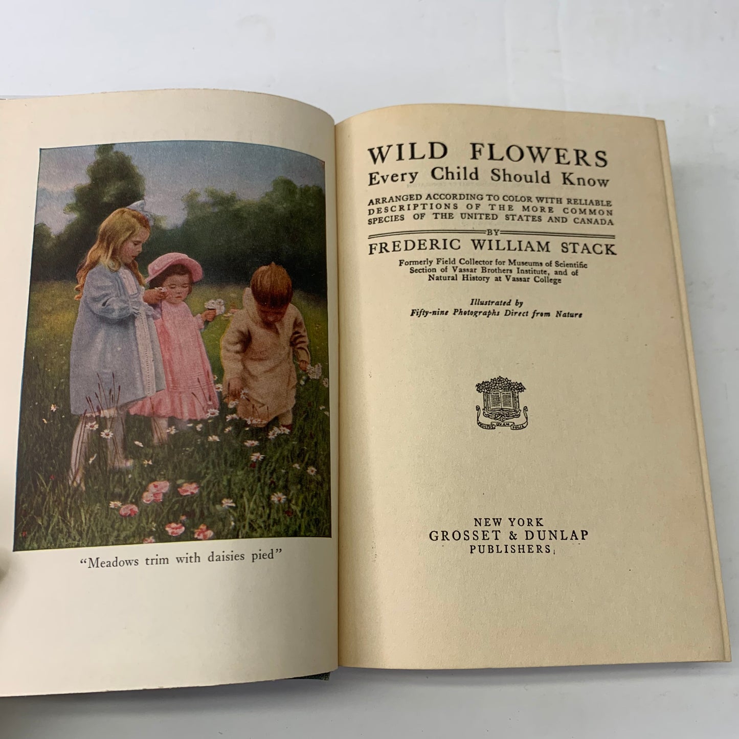 Wild Flowers Every Child Should Know - Frederic William Stack - 1909