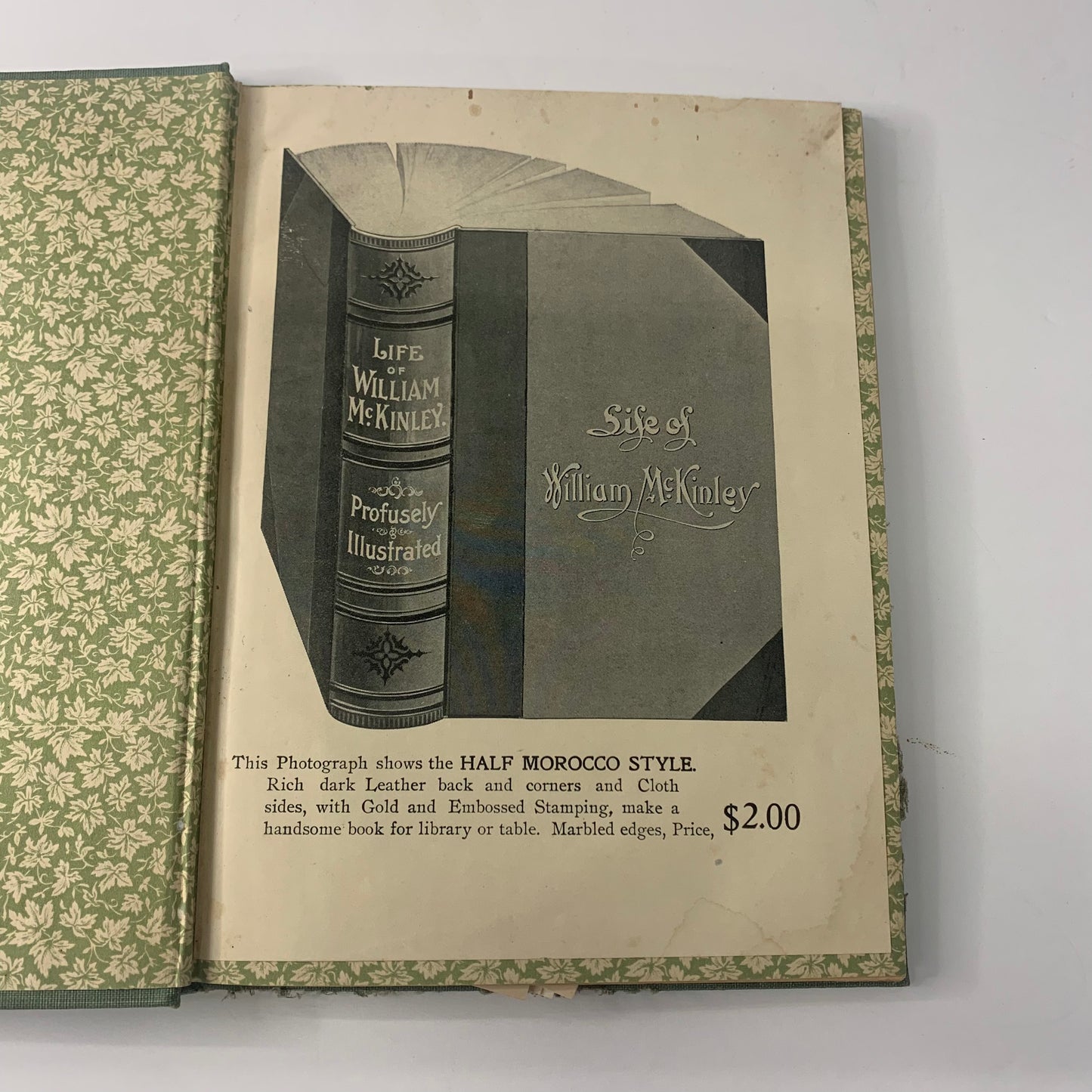 The Life of William McKinley - John W. Tyler - Salesman Sample - 1901