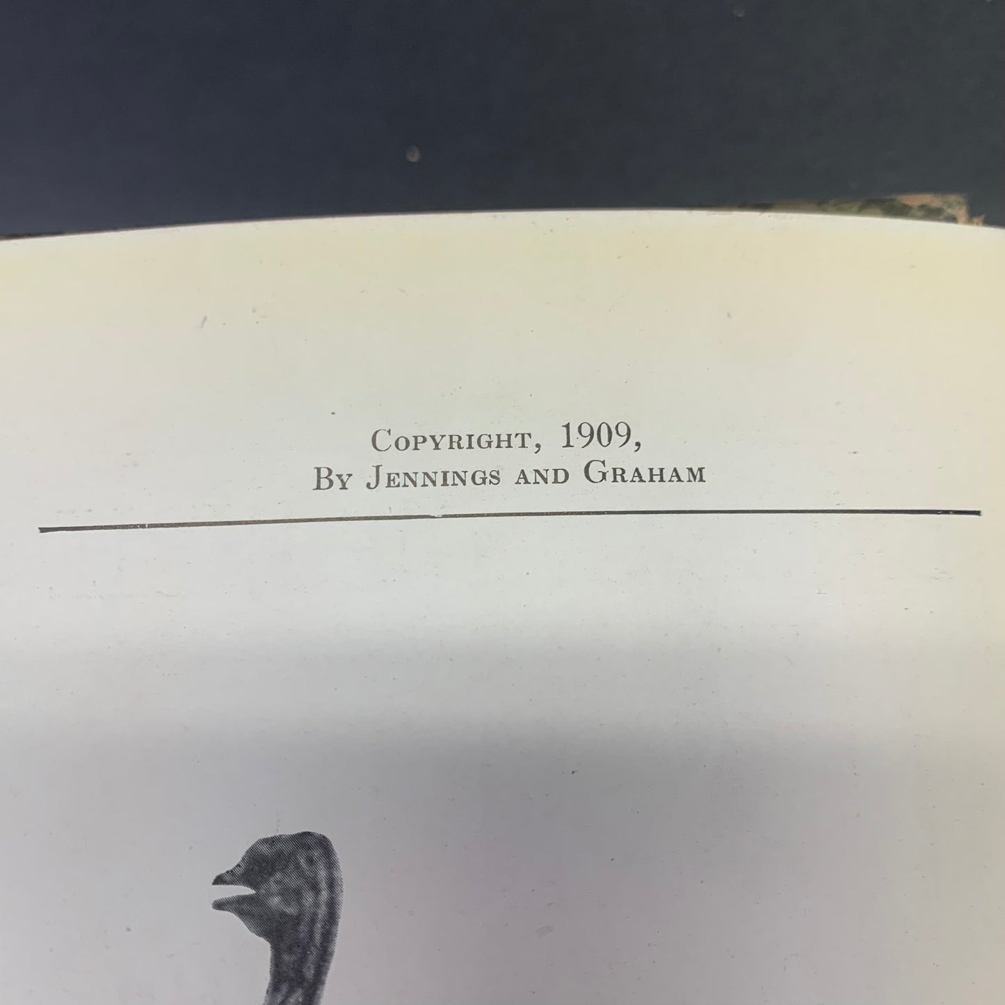 Birds of The Bible - Gene Stratton Porter - 1909