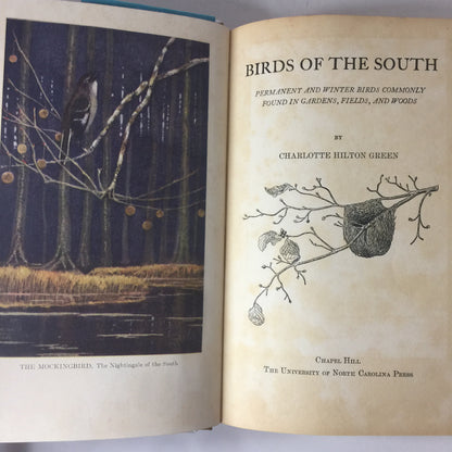 Birds of the South - Charlotte Green - 1st Edition - 1933