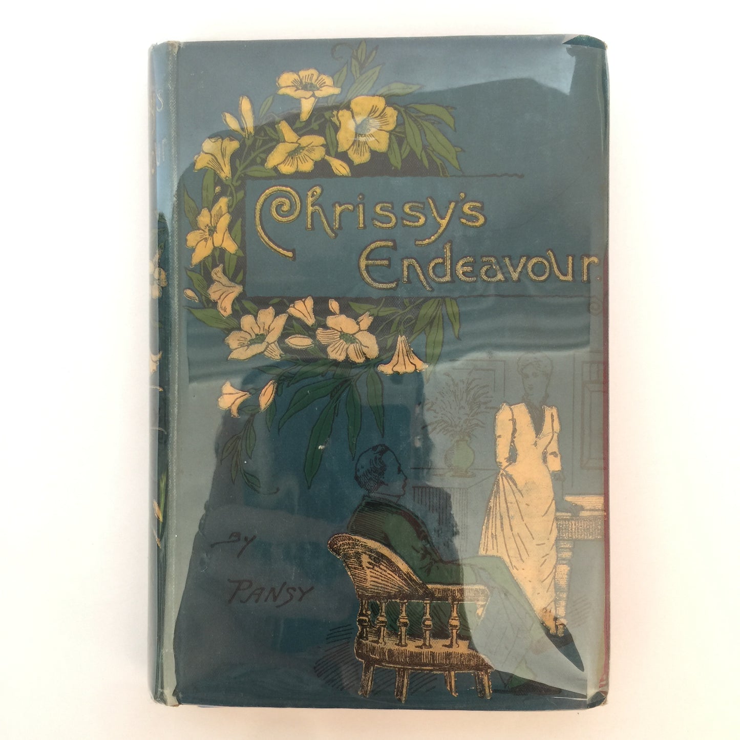 Chrissy’s Endeavour - Isabella Alden “Pansy”