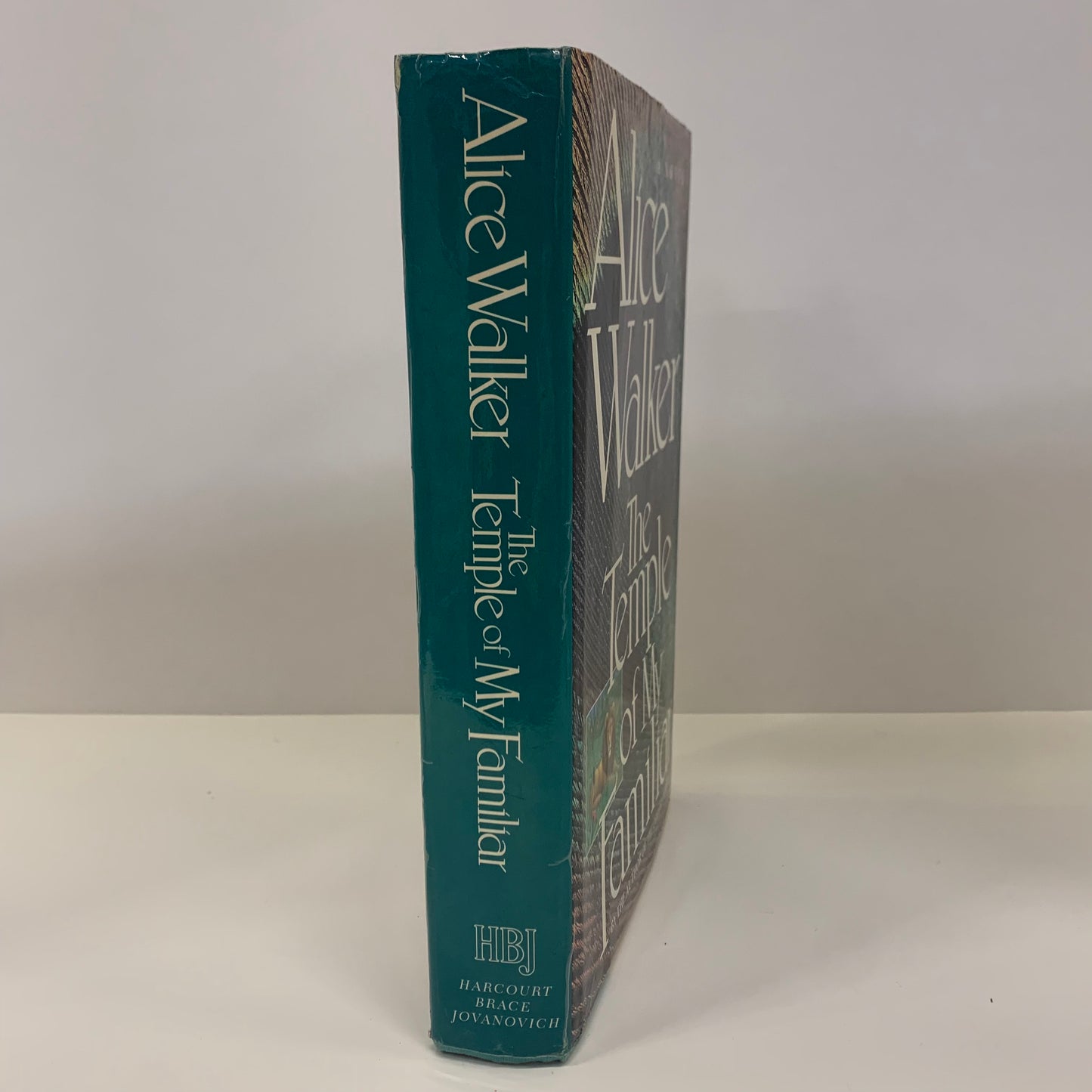 The Temple of My Familiar - Alice Walker - First Edition - 1989