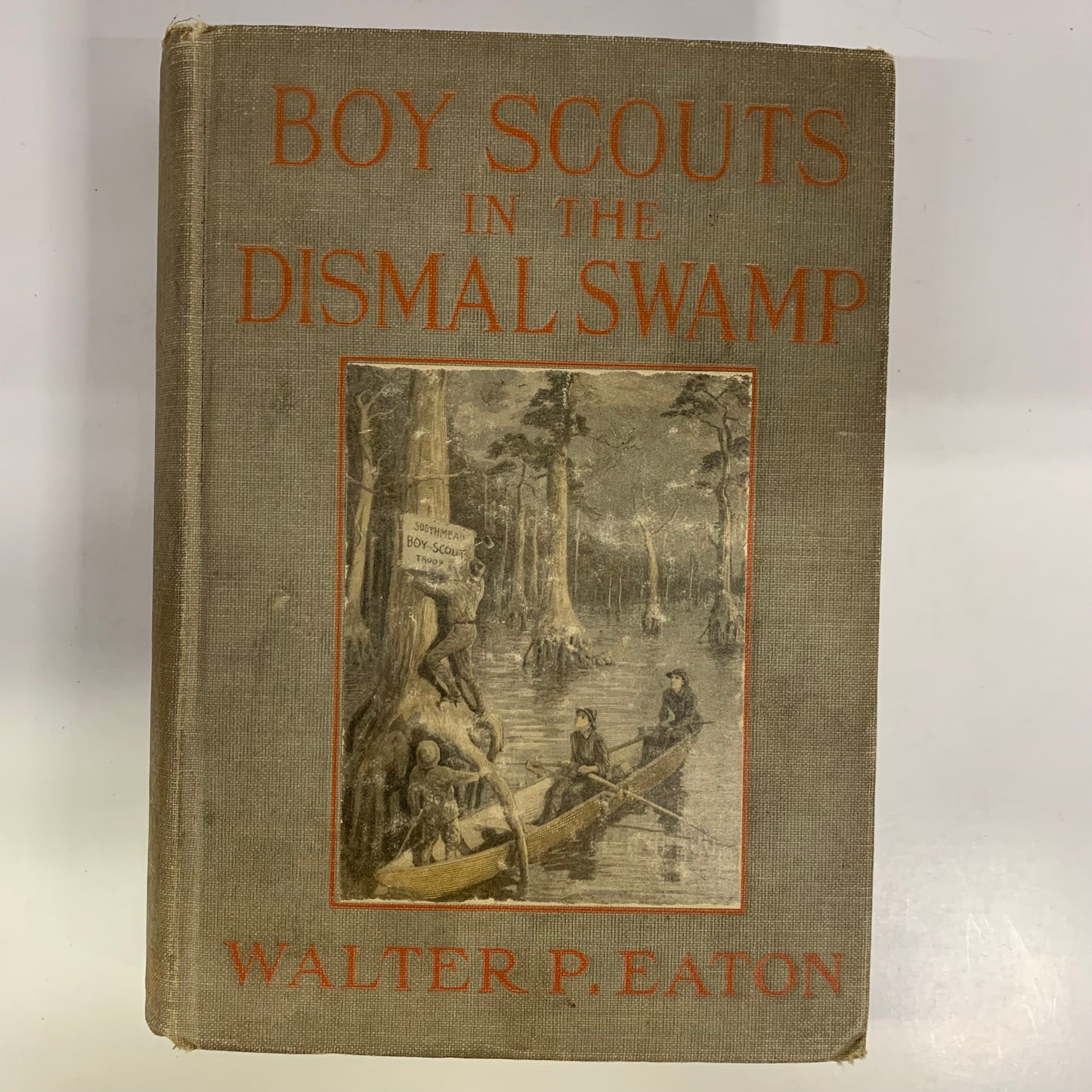 Boy Scouts in The Dismal Swamp - Walter P. Eaton - 1913